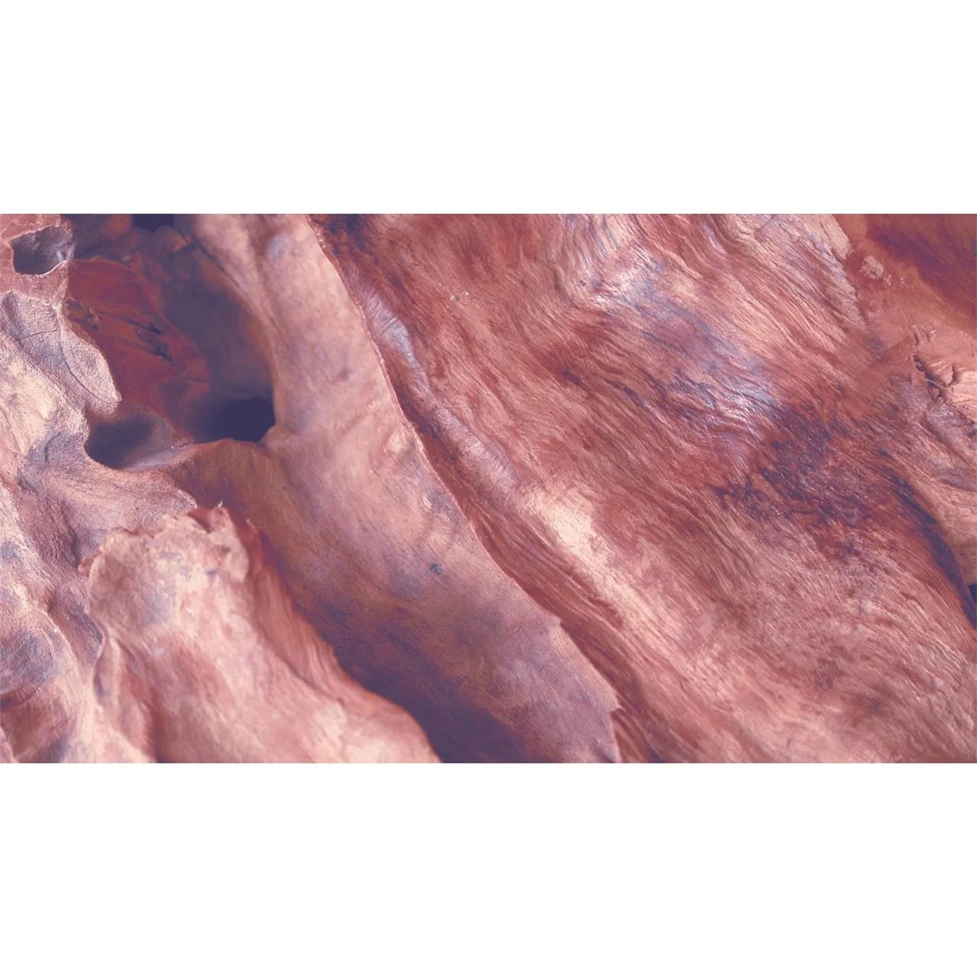 Estee Lauder Beautiful Magnolia Eau de Parfum Spray Estee Lauder Beautiful Magnolia Eau de Parfum Spray -Cheap Estee Lauder Store