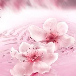 Estee Lauder Dream Dusk Eau de Parfum Spray 100ml -Cheap Estee Lauder Store 76288169 xxl a2