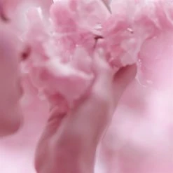 Estee Lauder Dream Dusk Eau de Parfum Spray 100ml -Cheap Estee Lauder Store 76288169 xxl a3