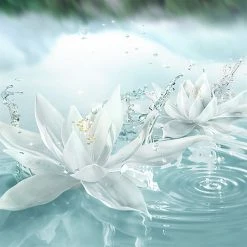 Estee Lauder Radiant Mirage Eau de Parfum Spray 100ml -Cheap Estee Lauder Store 76288269 xxl a2