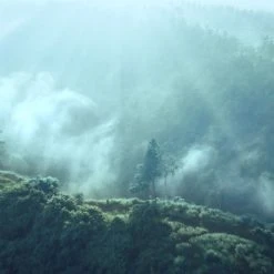 Estee Lauder Radiant Mirage Eau de Parfum Spray 100ml -Cheap Estee Lauder Store 76288269 xxl a4