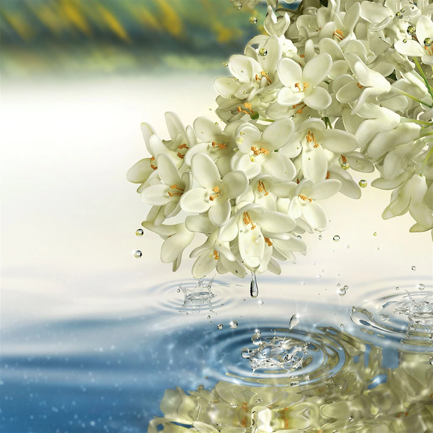 Estee Lauder Paradise Moon Eau de Parfum Spray 100ml Estee Lauder Paradise Moon Eau de Parfum Spray 100ml -Cheap Estee Lauder Store