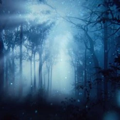 Estee Lauder Paradise Moon Eau de Parfum Spray 100ml 4 Estee Lauder Paradise Moon Eau de Parfum Spray 100ml -Cheap Estee Lauder Store 76288469 xxl a4