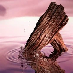 Estee Lauder Desert Eden Eau de Parfum Spray 100ml 8 Estee Lauder Desert Eden Eau de Parfum Spray 100ml -Cheap Estee Lauder Store 76288569 xxl a2