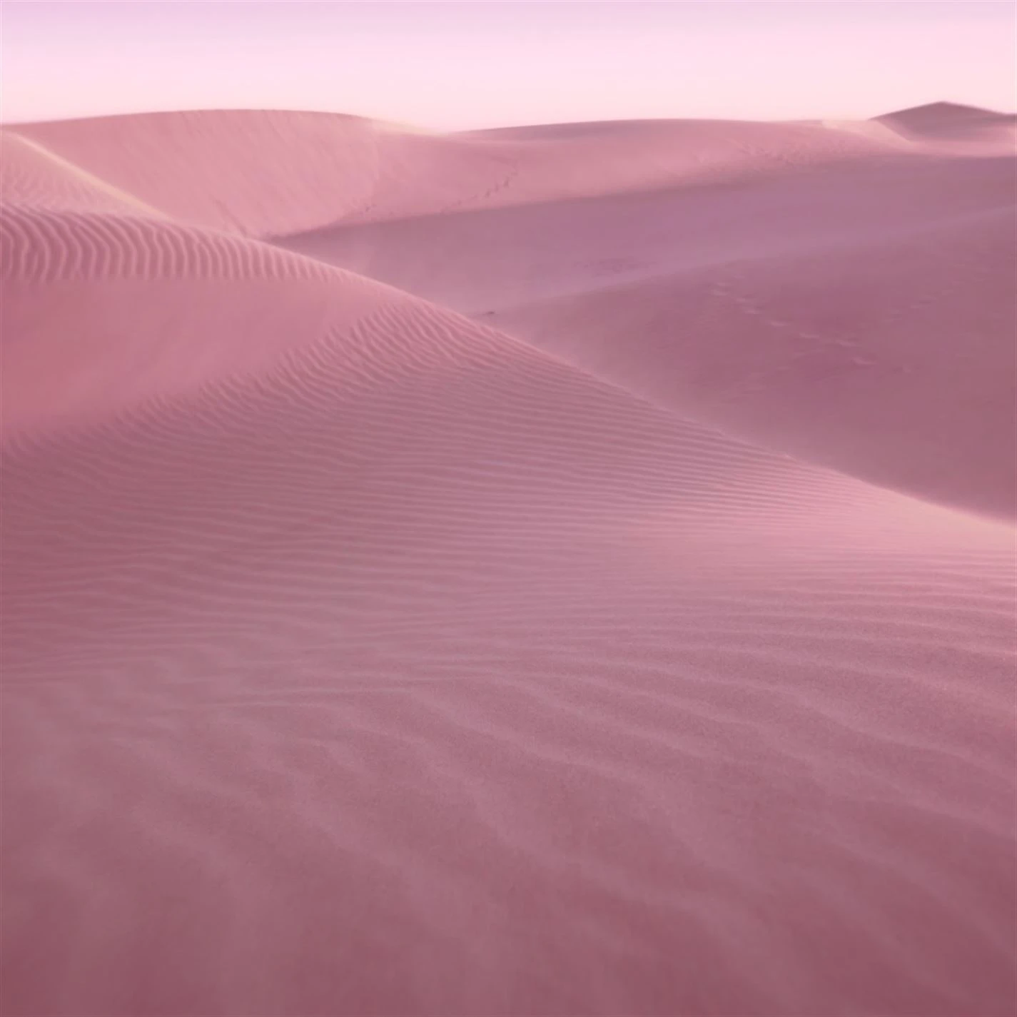 Estee Lauder Desert Eden Eau de Parfum Spray 100ml 5 Estee Lauder Desert Eden Eau de Parfum Spray 100ml - Image 5