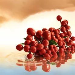 Estee Lauder Infinite Sky Eau de Parfum Spray 100ml 2 Estee Lauder Infinite Sky Eau de Parfum Spray 100ml -Cheap Estee Lauder Store 76288769 xxl a2