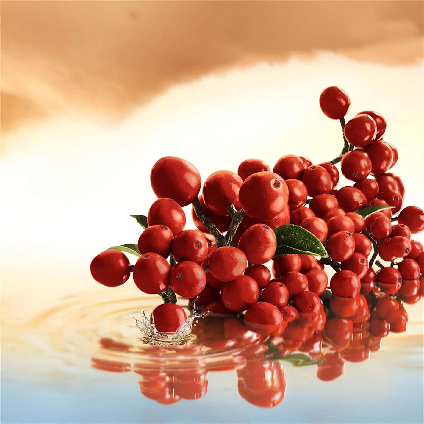 Estee Lauder Infinite Sky Eau de Parfum Spray 100ml Estee Lauder Infinite Sky Eau de Parfum Spray 100ml -Cheap Estee Lauder Store