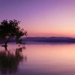 Estee Lauder Sensuous Stars Eau de Parfum Spray 100ml 4 Estee Lauder Sensuous Stars Eau de Parfum Spray 100ml -Cheap Estee Lauder Store 76288869 xxl a4