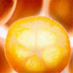 Estee Lauder Perfectionist Pro Rapid Brightening Treatment with Ferment2+ Vitamin C 50ml -Cheap Estee Lauder Store 77626829 xxl a2