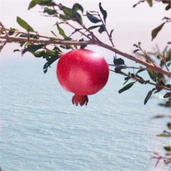 Estee Lauder Nutritious Super-Pomegranate Radiant Energy Night Creme/Mask 50ml 6 Estee Lauder Nutritious Super-Pomegranate Radiant Energy Night Creme/Mask 50ml -Cheap Estee Lauder Store 77627669 xxl a2