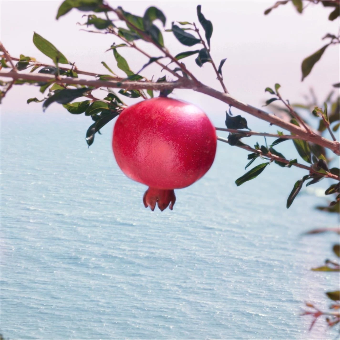 Estee Lauder Nutritious Super-Pomegranate Radiant Energy Night Creme/Mask 50ml 3 Estee Lauder Nutritious Super-Pomegranate Radiant Energy Night Creme/Mask 50ml - Image 3